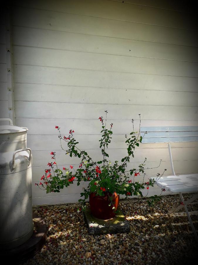 B&B Chez Annie Saint-Martin-de-Gurçon Dış mekan fotoğraf
